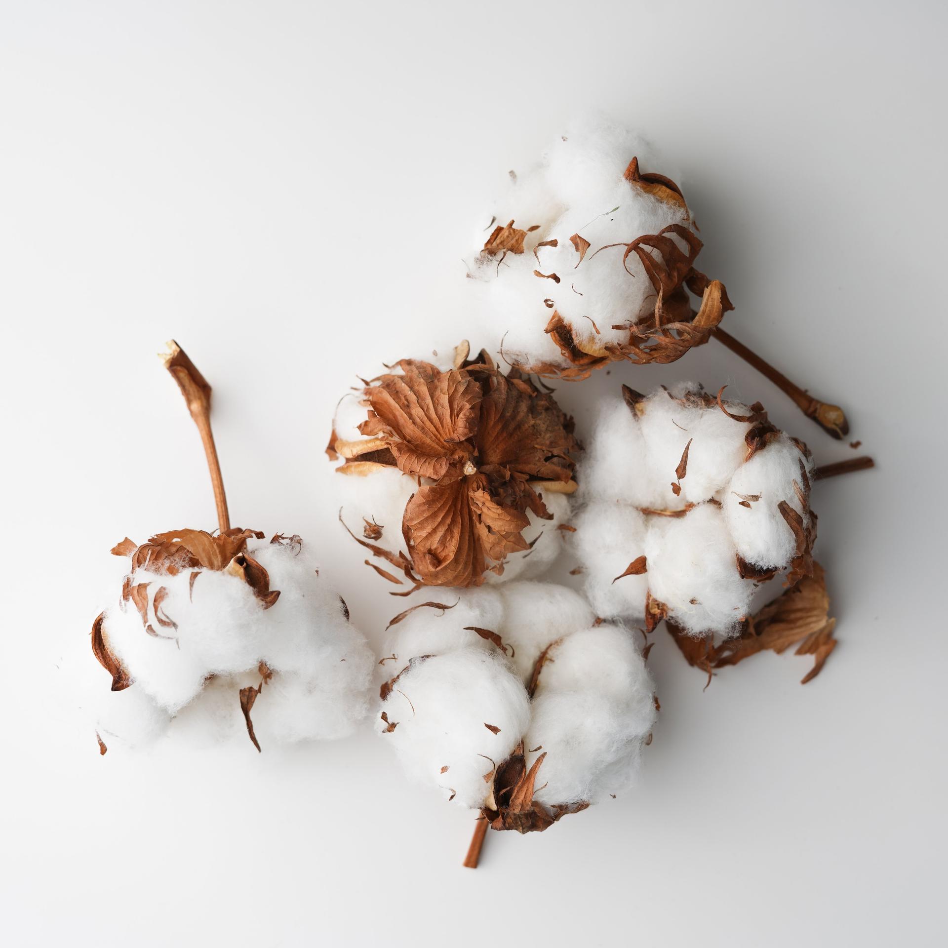 Apparel Supply Chains with Optica™
